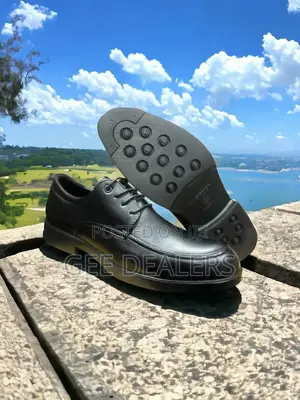 Brown Lace Up Leather Official Shoes