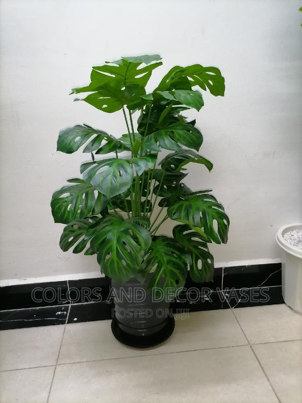 Monstera 24leaves and Plastic Vase With Underliner Offer - main view