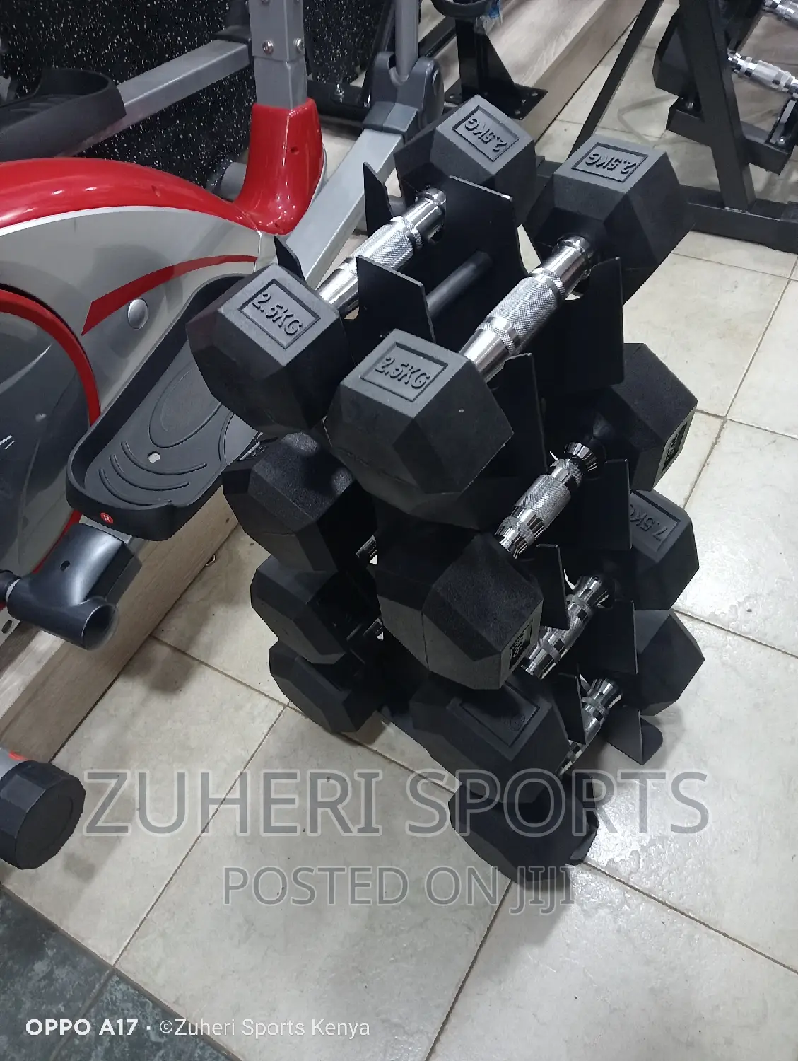 Dumbbell Rack/4 Pairs/All Shape Dumbbell Rack/Stable Base