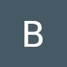 Bessy Stecy logo