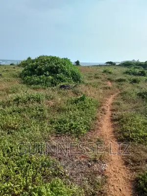 Bofa, 1/4 Acre Plots