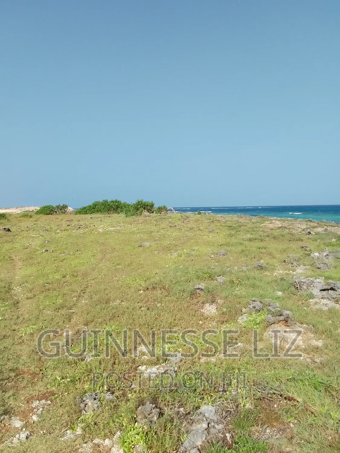 Bofa, 1/4 Acre Plots