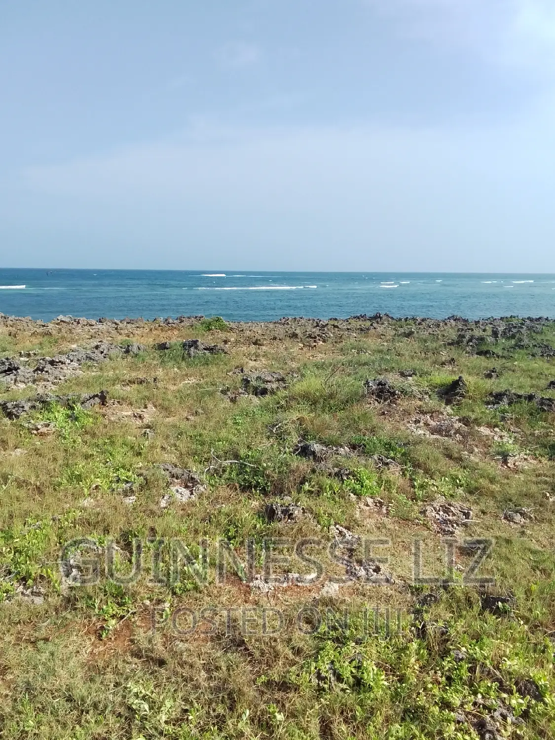 Bofa, 1/4 Acre Plots