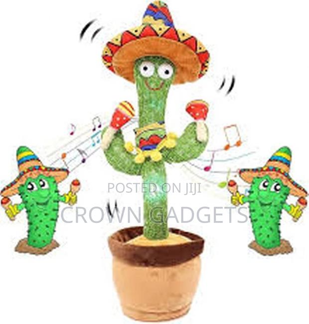 Dancing Cactus - main view
