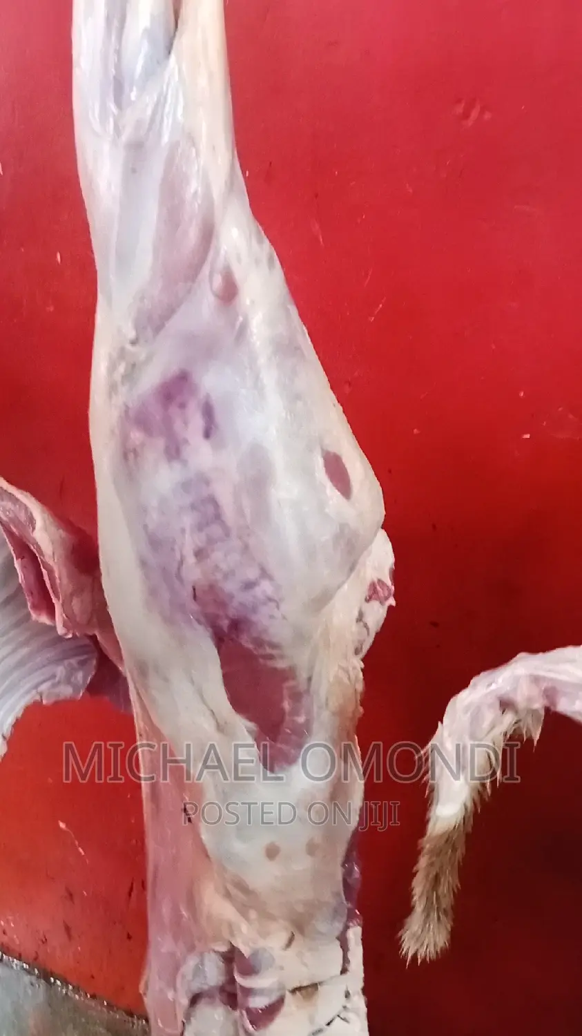 7.5kgs Half Goat Meat - 5,100