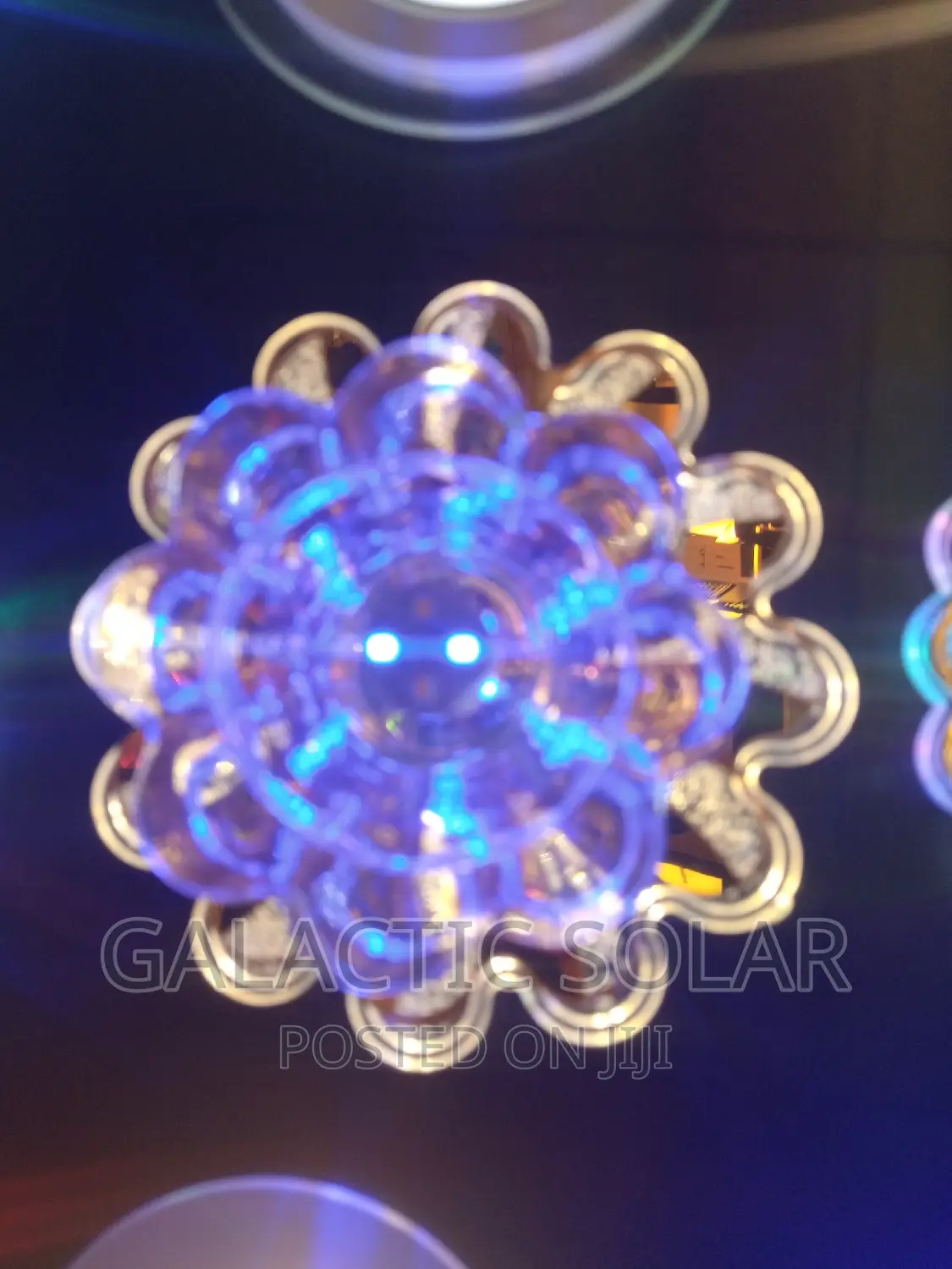 Flowered Downlights