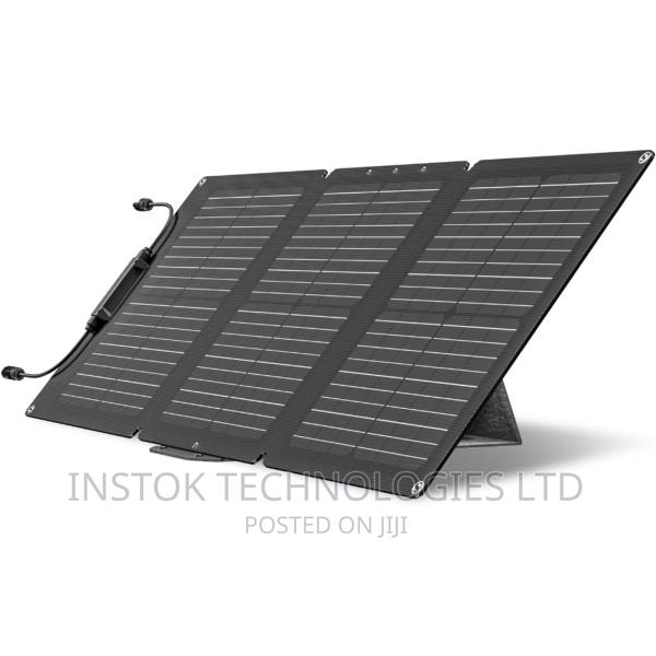 Ecoflow 60W Portable Solar Panel - main view