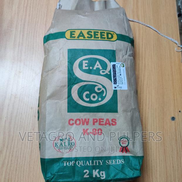 Cowpeas Seeds
