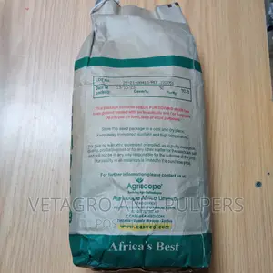 Cowpeas Seeds
