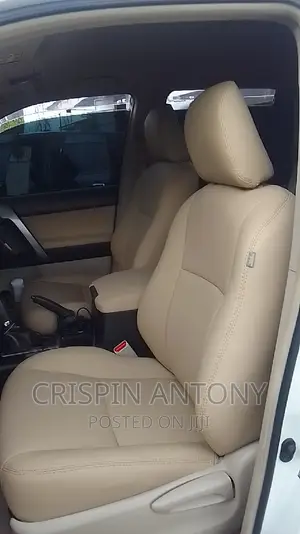 Car Upholstery