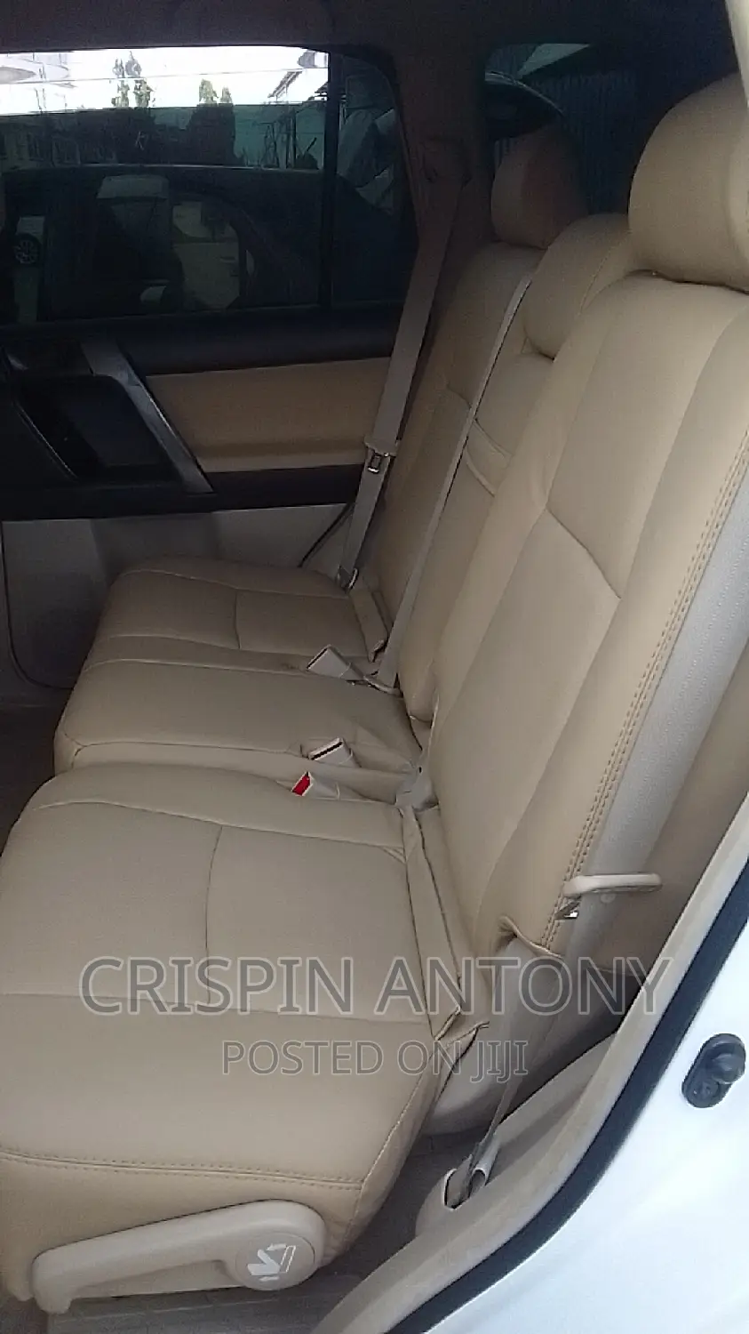 Car Upholstery
