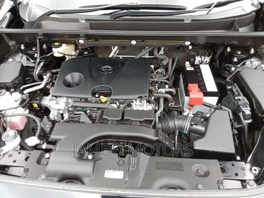 Toyota RAV4 LE AWD 2019 Black