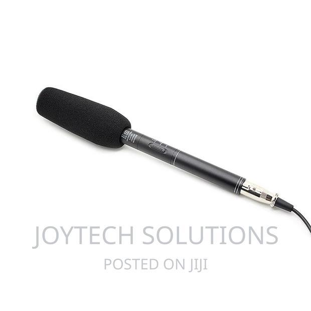 Hot Selling Panasonic Microphone
