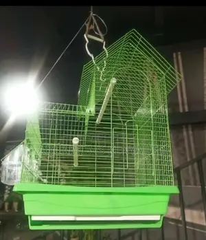 Spacious Cages for Small Birds,Doves, Lovebirds