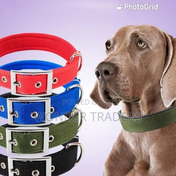 Dog Collar- Adjustable Dog Collar, With Foam Padding - main view