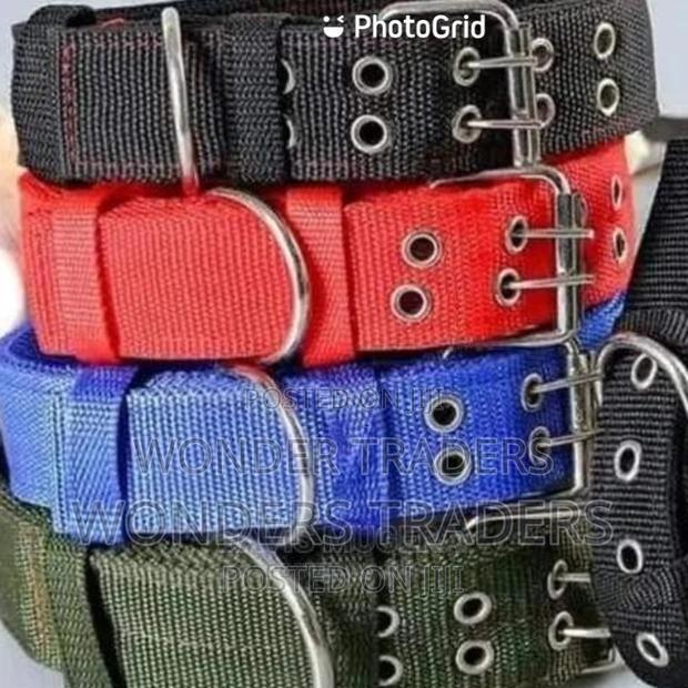 Heavy Duty Adjustable Dog Collar, With Foam Padding - main view