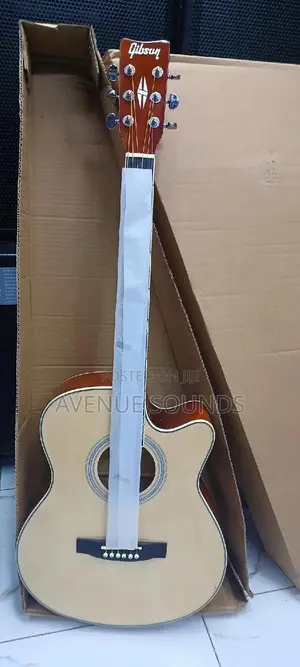 Gibson Guitar