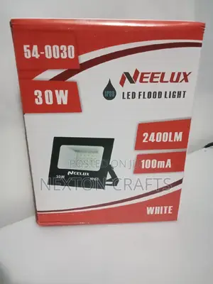 Ac Floodlight 30w