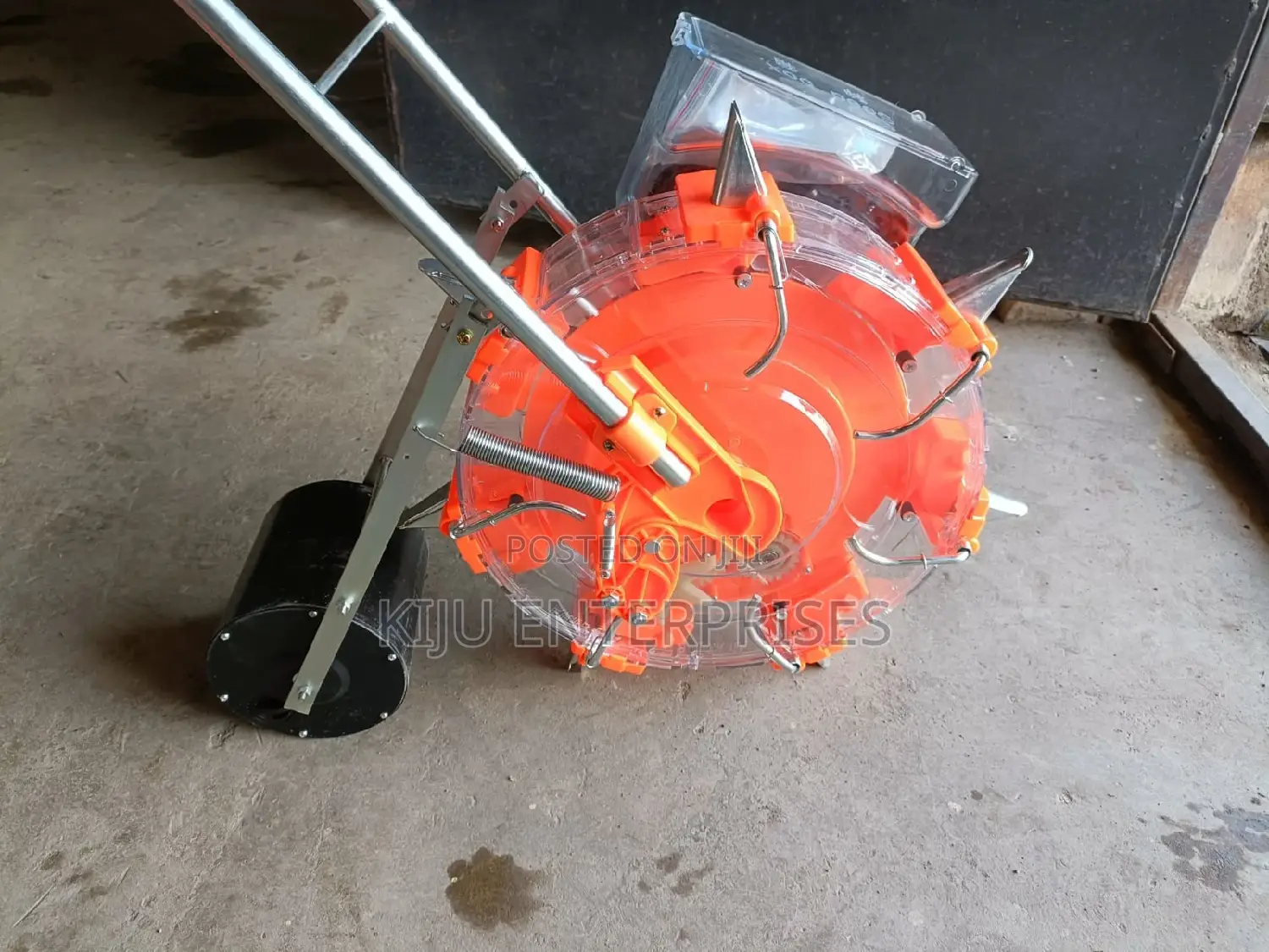 Single Seed Plantae Available