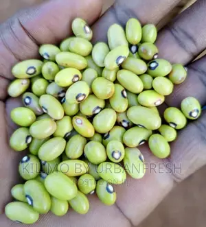 Yellow Beans Moq 20 KGS