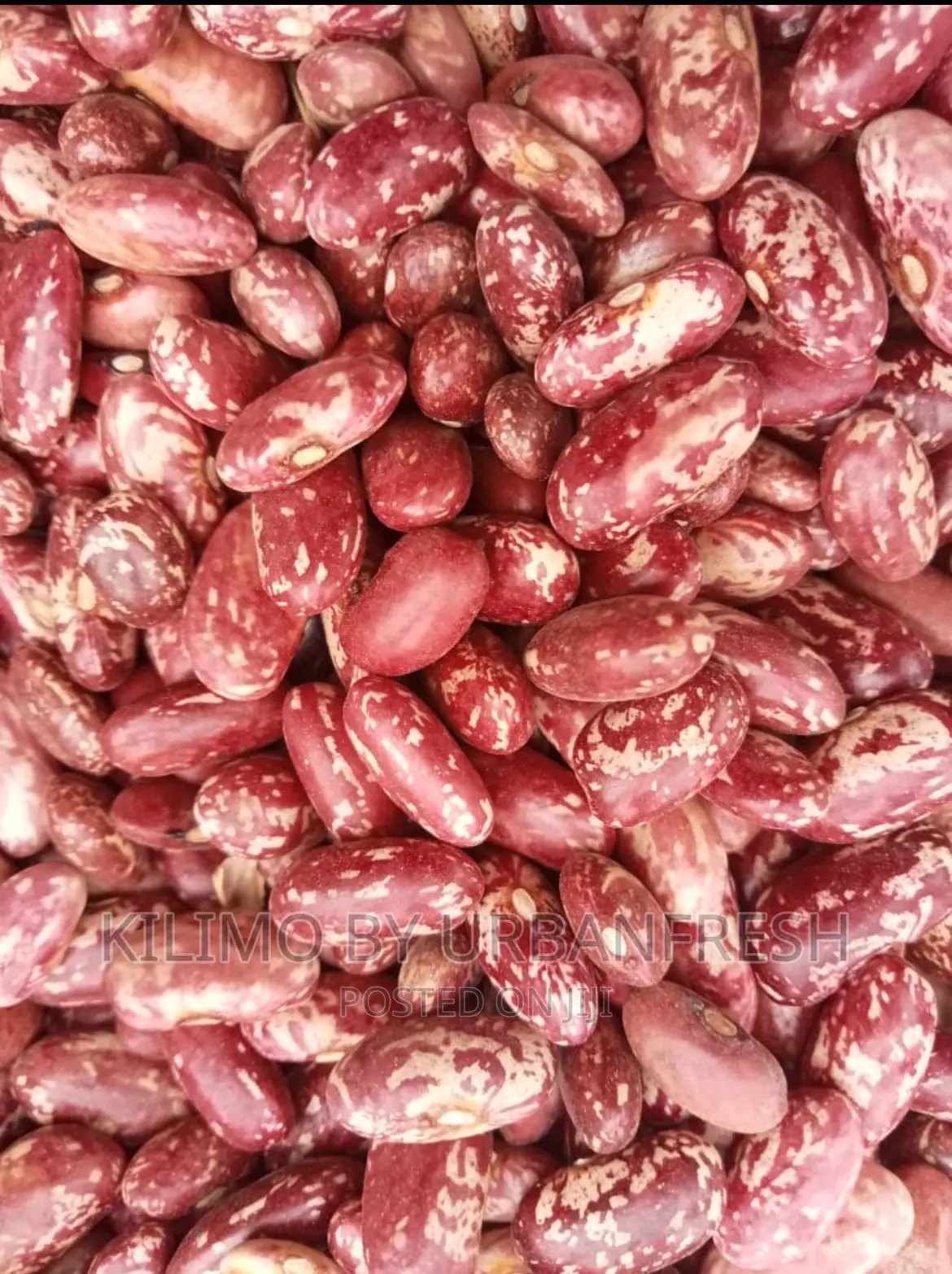 Nyayo Beans. Moq 20kgs