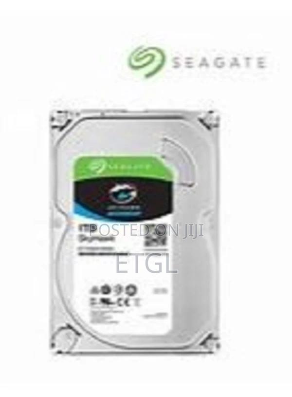 .Seagate Surveillance 1 TB Hard Disk