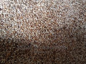 Sesame ( Simsim ) Planting Seeds 20kgs - thumbnail 2