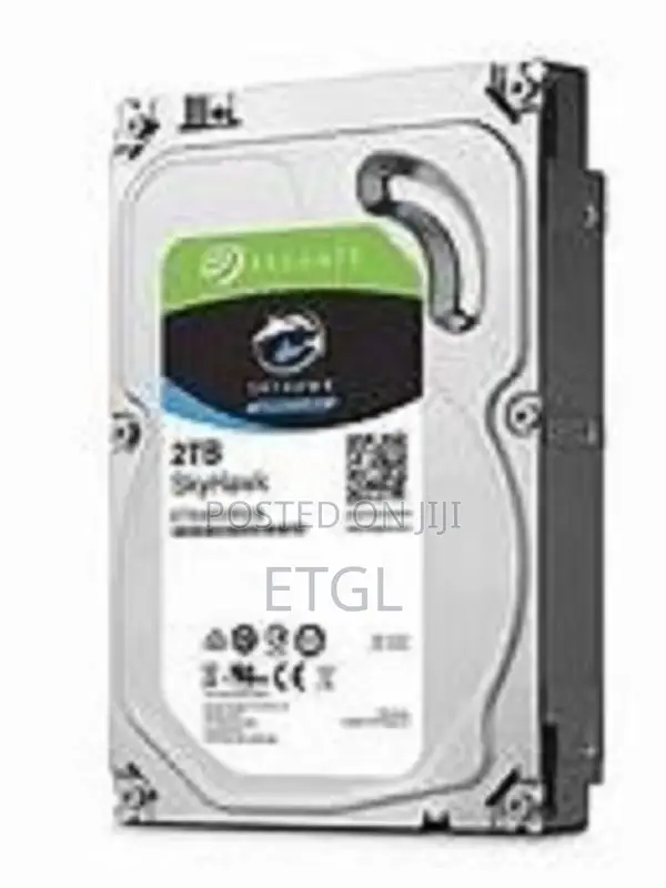 .Seagate Surveillance 2 TB Hard Disk