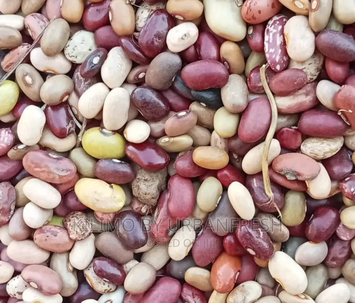 Mixed Beans Moq 20