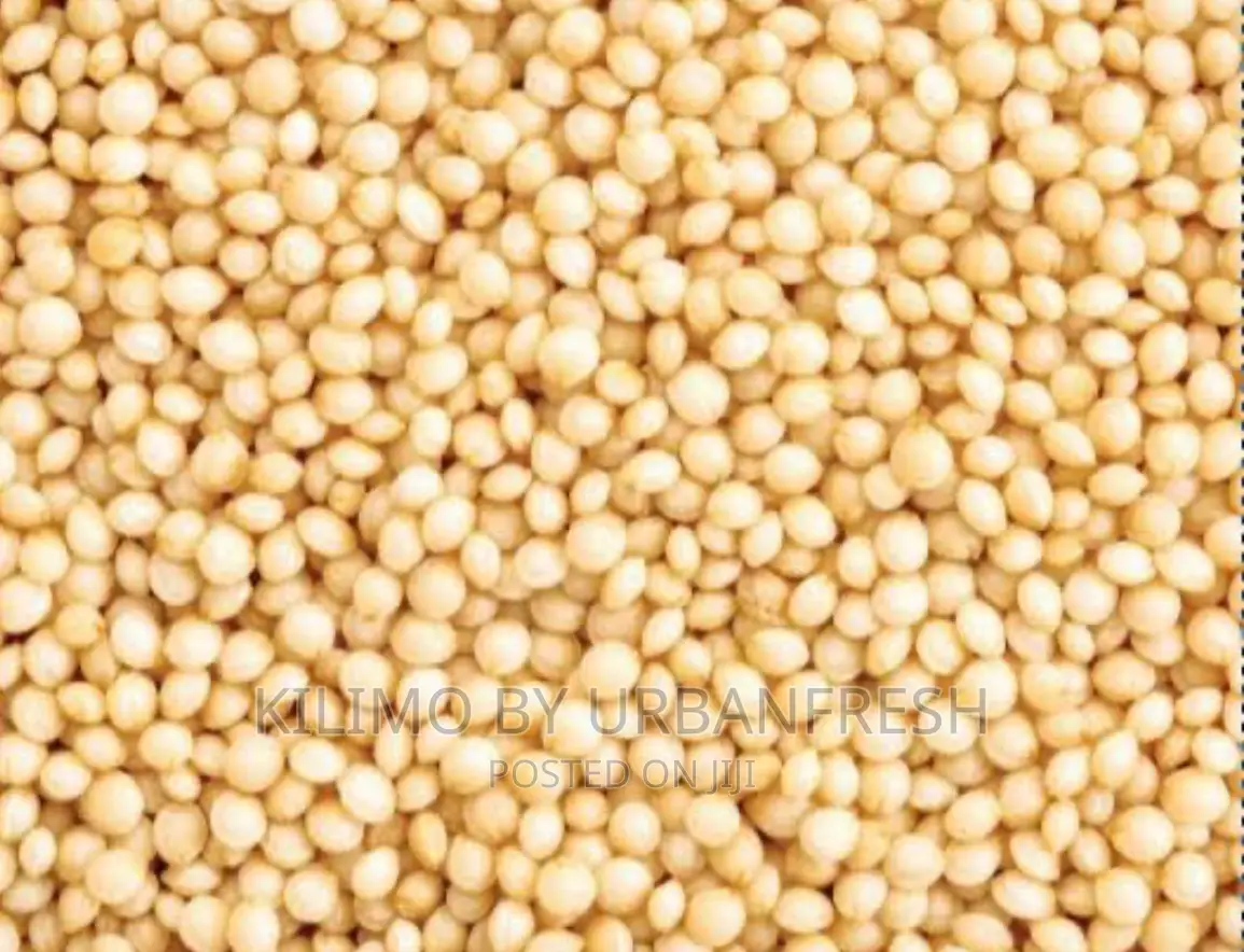 Amaranth Seeds Moq 20