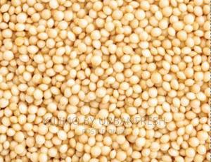 Amaranth Seeds Moq 20 - thumbnail 2