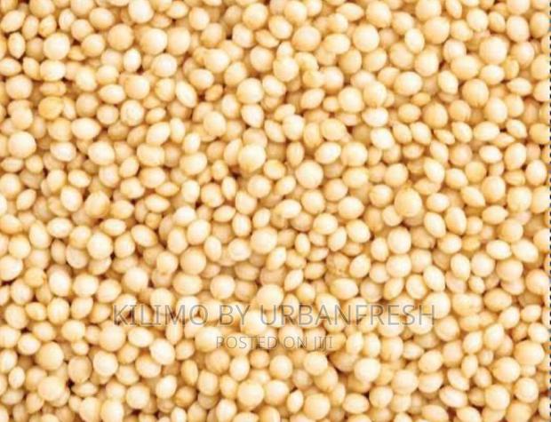 Amaranth Seeds Moq 20 - main view