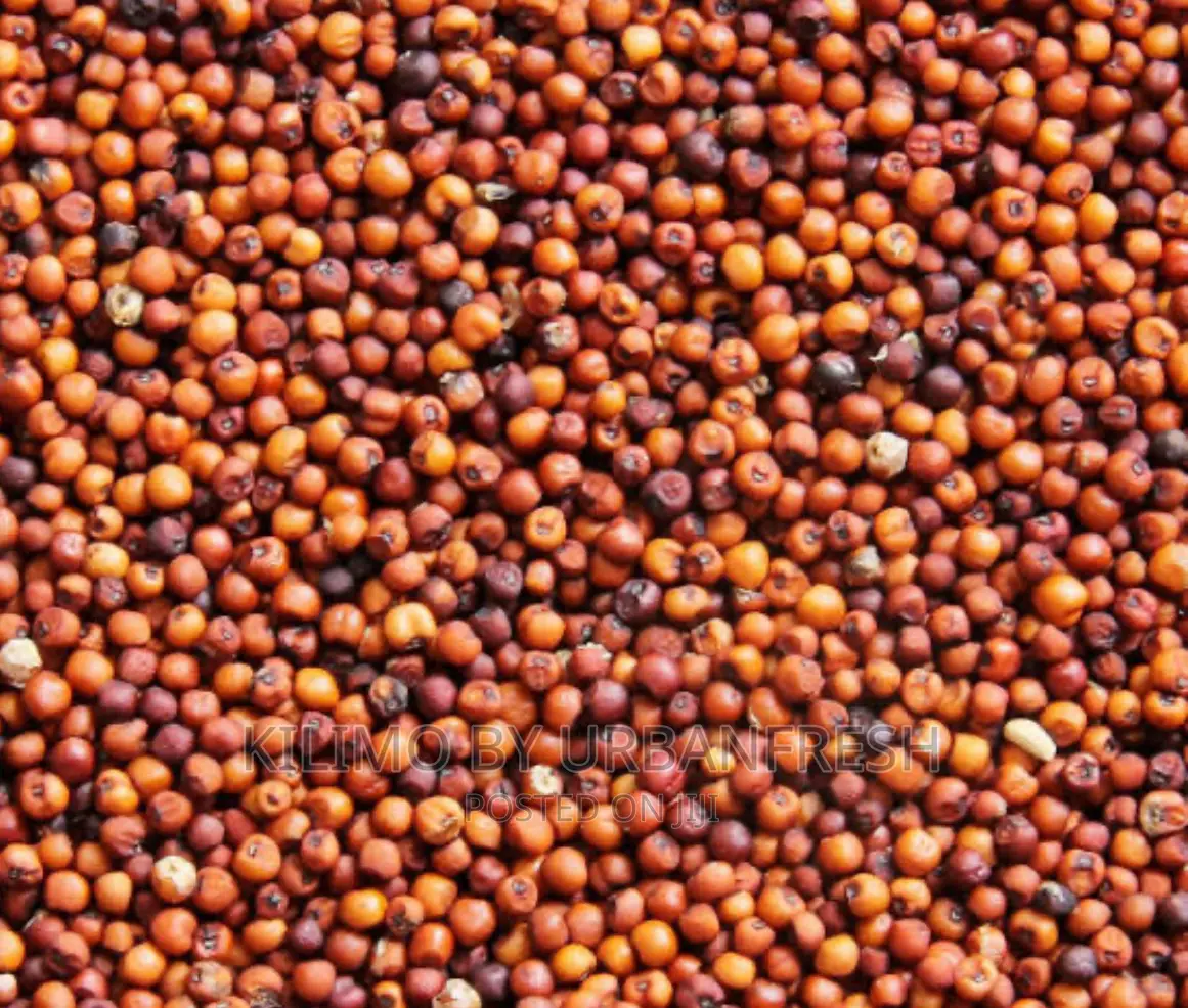 Finger Millet (Wimbi) Seeds Moq 20.