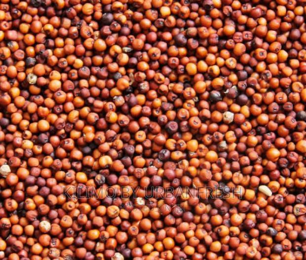 Finger Millet (Wimbi) Seeds Moq 20. - main view