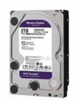 .WD Surveillance 2 TB Hard Disk