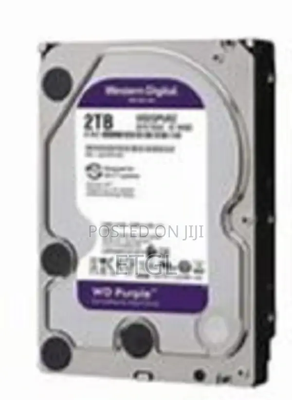 .WD Surveillance 2 TB Hard Disk