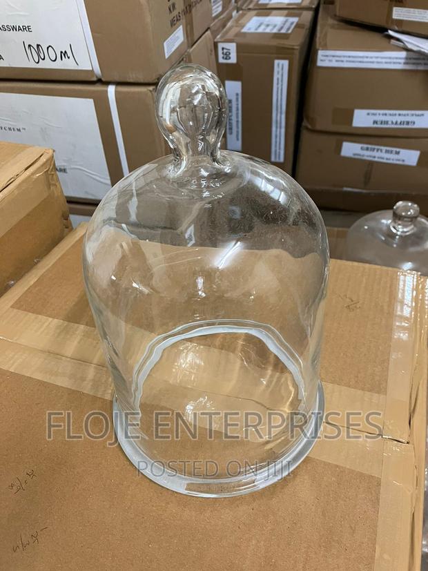 Bell Jar With Knob - main view
