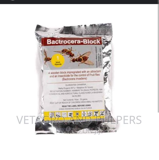 Bactrocera Block (KBL) - main view