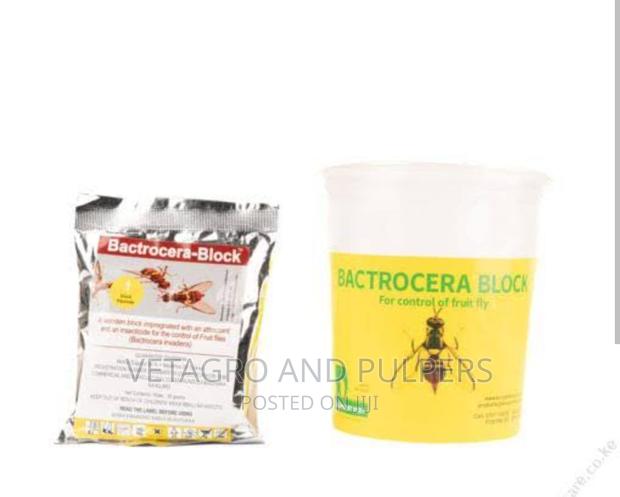 Bactrocera Block (KBL) - thumbnail 3