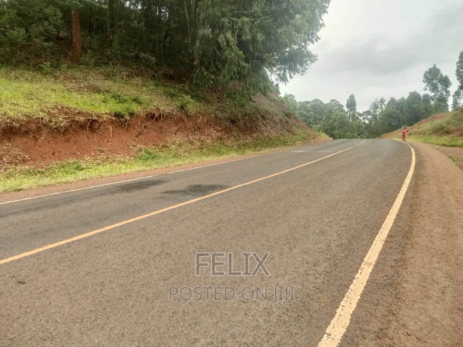 Nyeri/ Mukurweini Maganjo Main Tarmac
