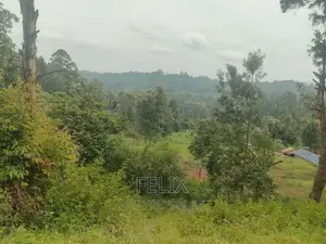Nyeri/ Mukurweini Maganjo Main Tarmac