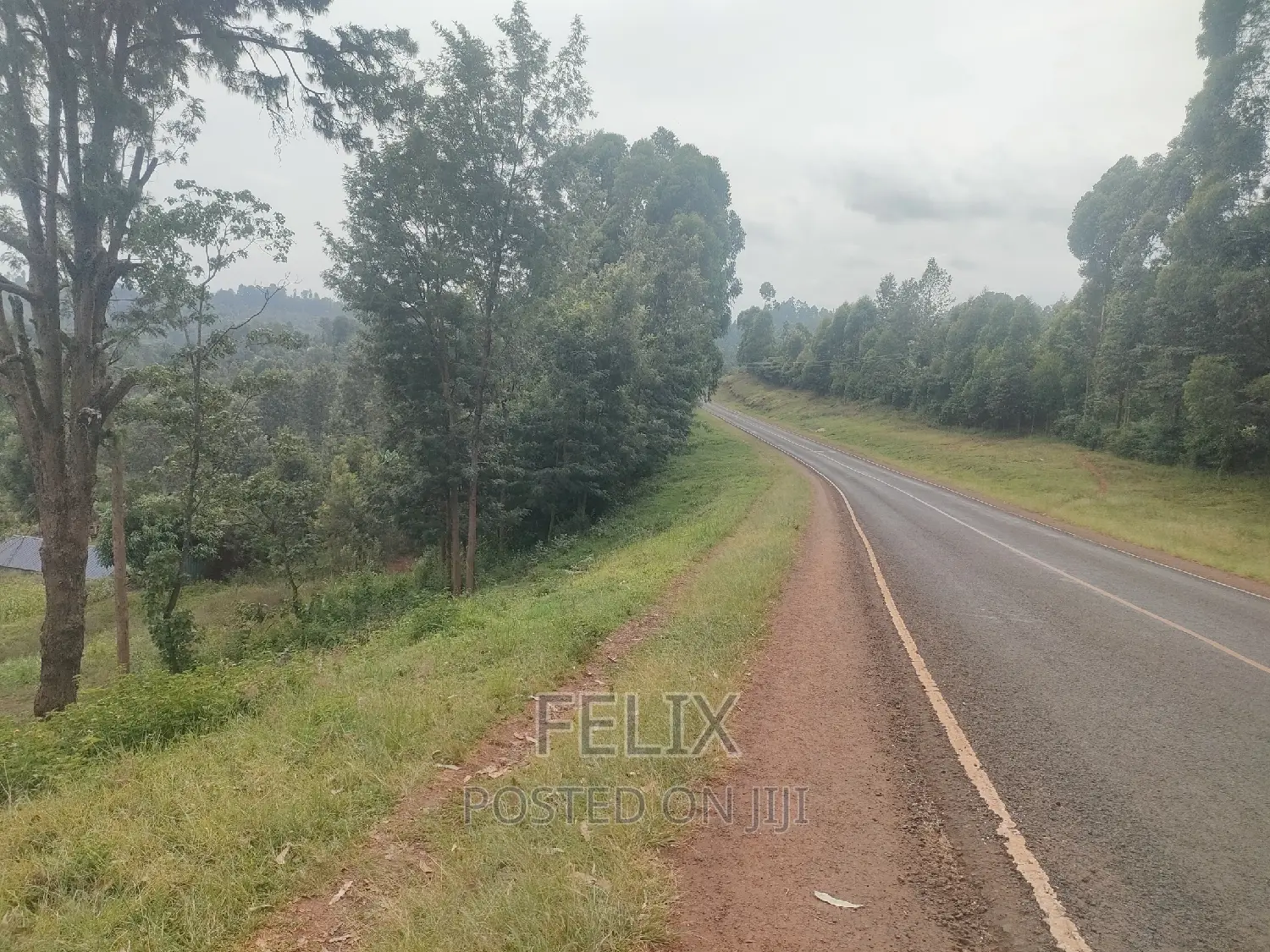 Nyeri/ Mukurweini Maganjo Main Tarmac