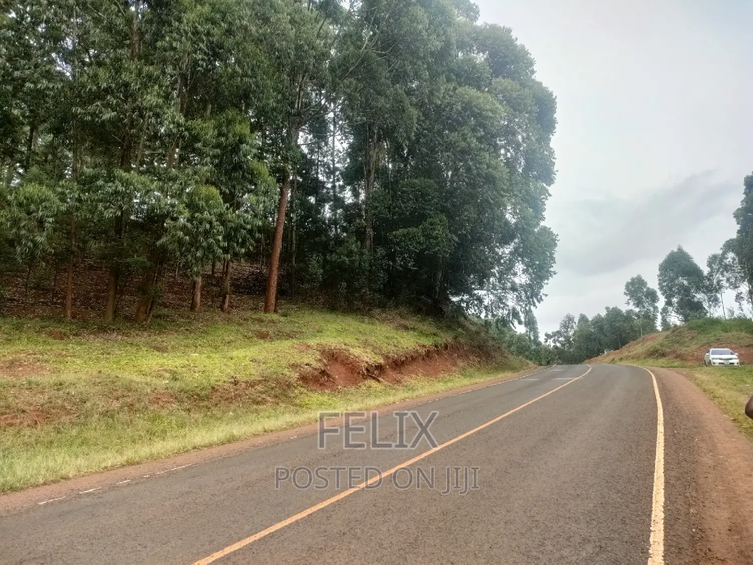 Nyeri/ Mukurweini Maganjo Main Tarmac