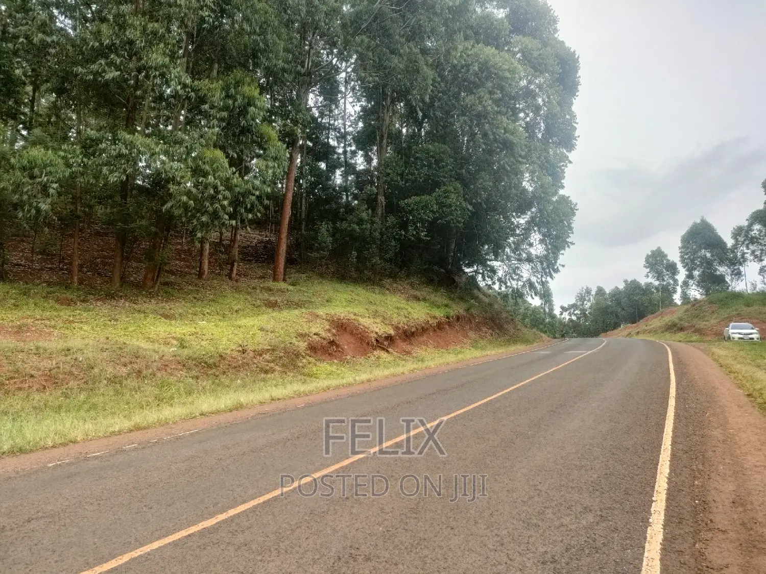 Nyeri/ Mukurweini Maganjo Main Tarmac