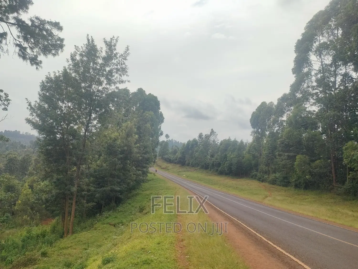 Nyeri/ Mukurweini Maganjo Main Tarmac