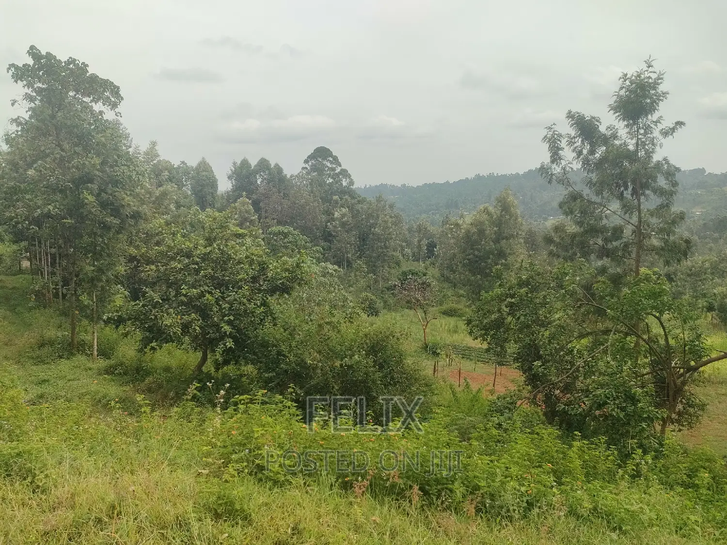 Nyeri/ Mukurweini Maganjo Main Tarmac