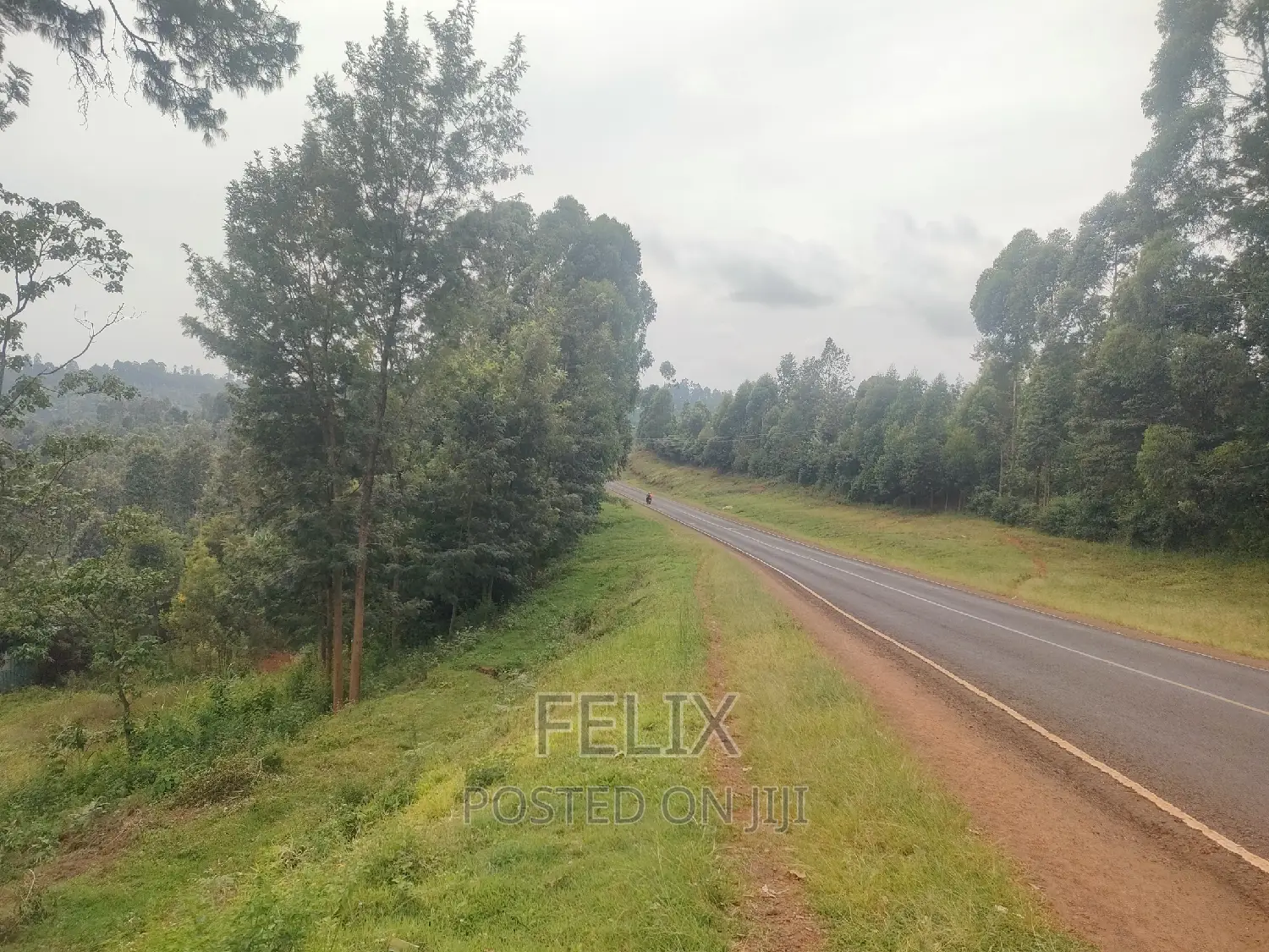 Nyeri/ Mukurweini Maganjo Main Tarmac