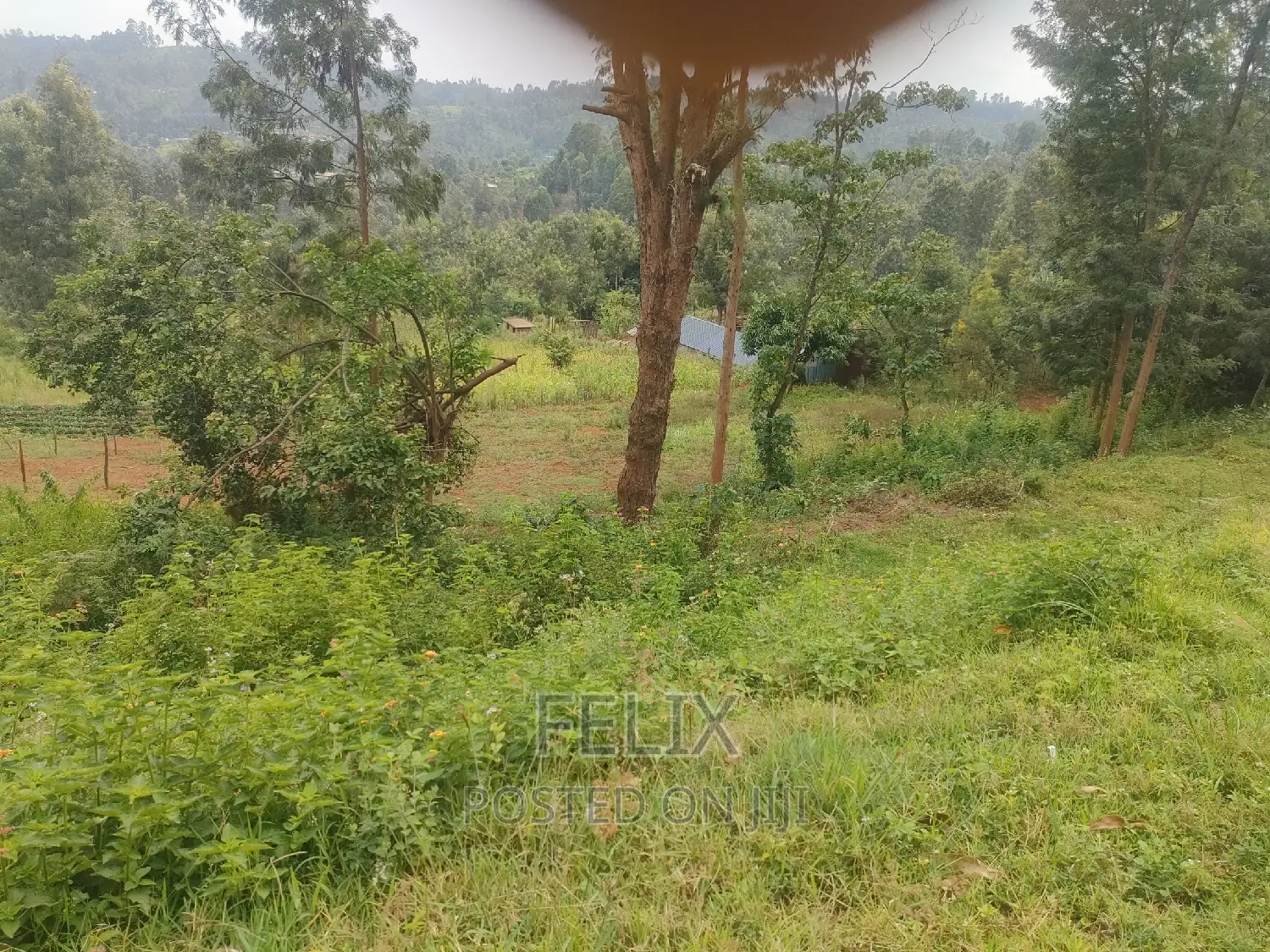 Nyeri/ Mukurweini Maganjo Main Tarmac