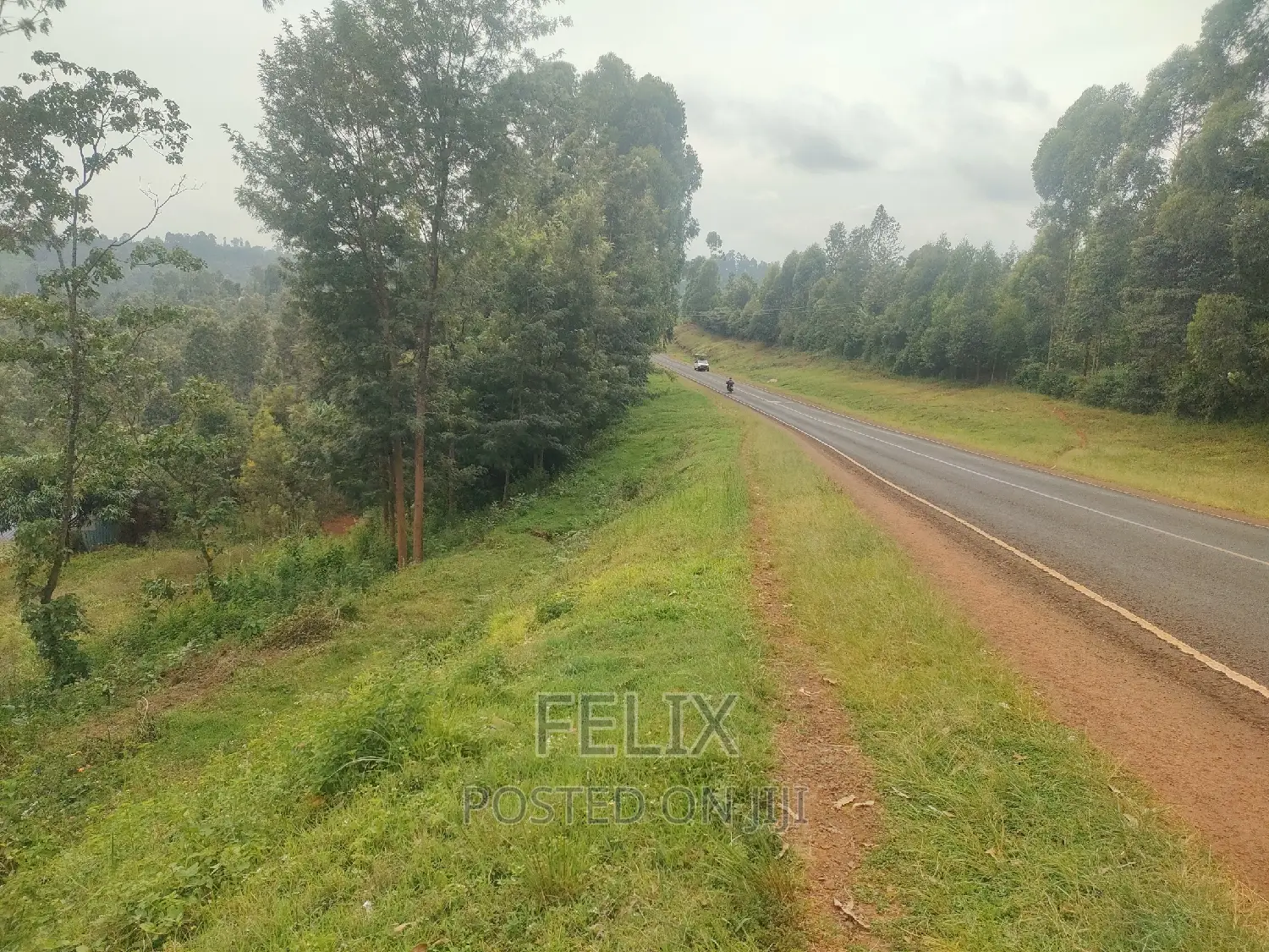 Nyeri/ Mukurweini Maganjo Main Tarmac