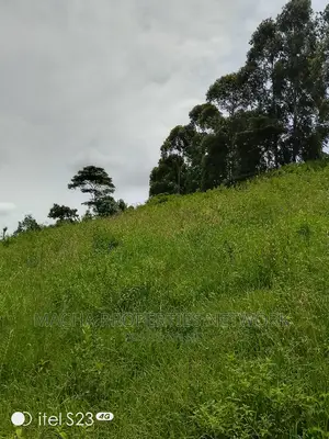 Mua -Kaloleni 2 Acres Half Quick Sale 2.9M Per Acre
